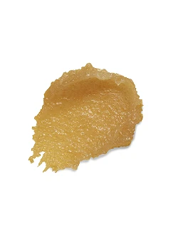 Burt´s Bees Conditioning Lip Scrub