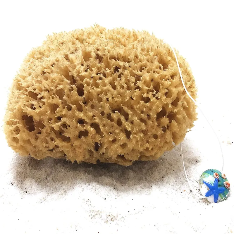 100% Ægte Natursvamp Inkl. Snor - 13 cm.