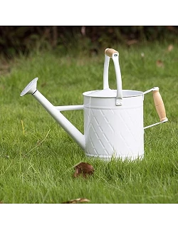 Vintage Inspireret Vandkande  Sæt- 2 Dele