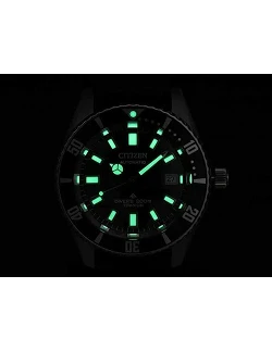 Citizen Promaster Lume