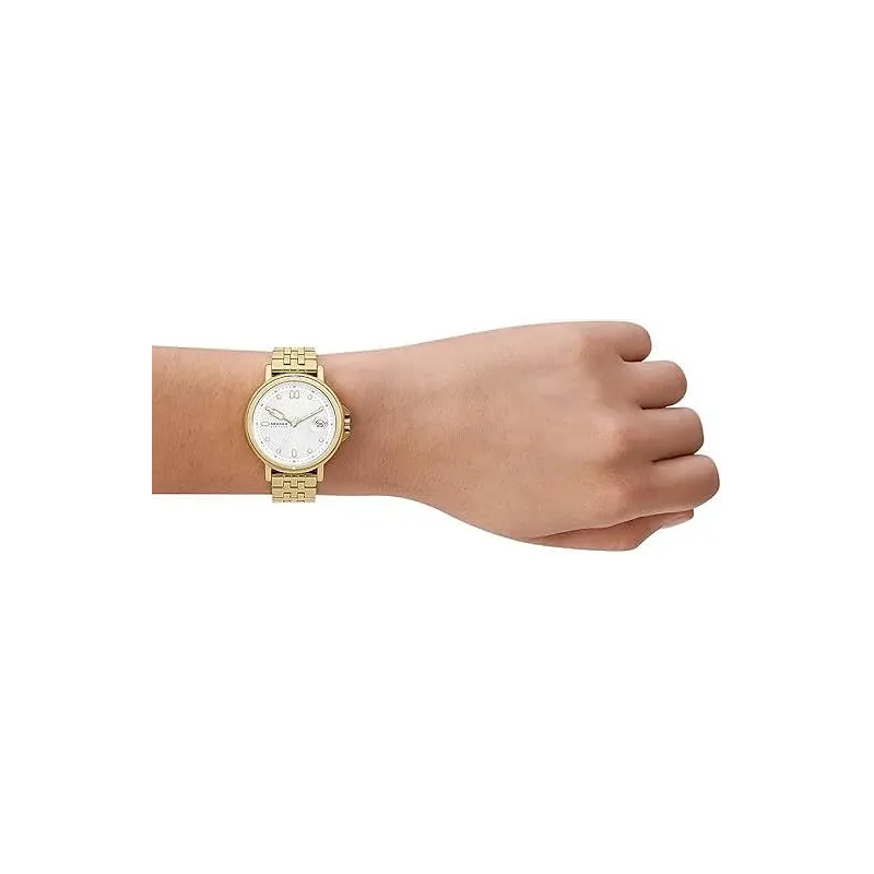 Skagen Signatur SKW3135 Dameur | Skarp Pris + Fri Fragt