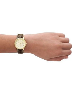 SKAGEN Kuppel dameur, kvarts urværk med tre visere og læderarmbånd