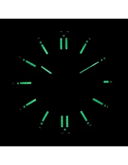 Citizen Tsuyosa NJ0159-86Z Herreur