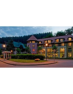 Harzen - 3 dages hyggelig spa og wellness ophold for krop og  sjæl for 2 pers. inkl. morgenbuffet